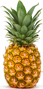 Pineapple Cardboard Cutout
