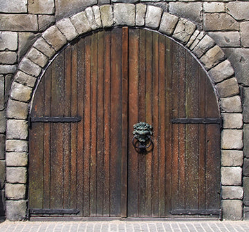 Medieval Door Cardboard Cutout