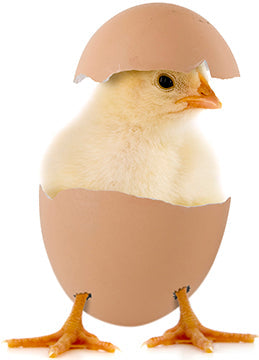 Happy Easter Cardboard Cutout