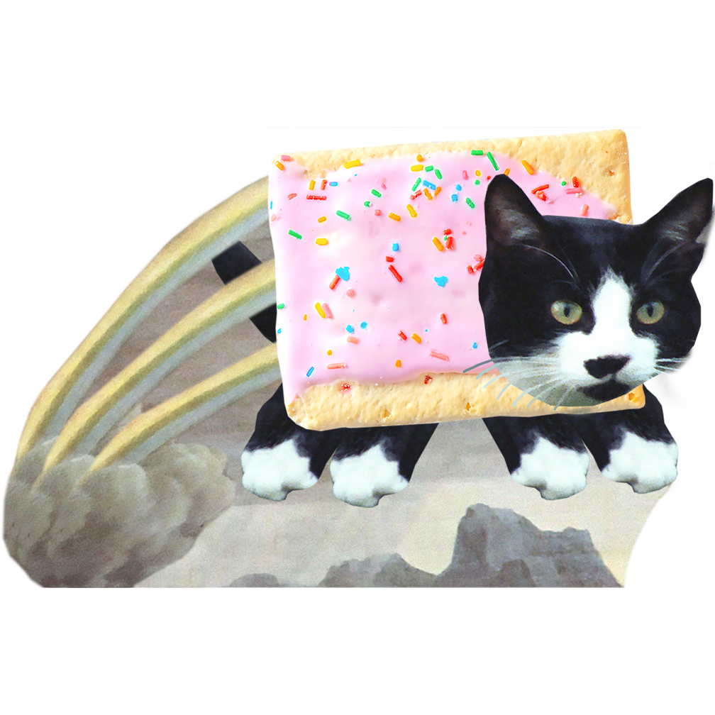 Nyan Cat Cardboard Cutout