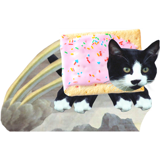 Nyan Cat Cardboard Cutout