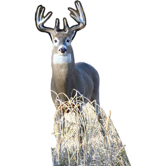 White Tail Buck Cardboard Cutout