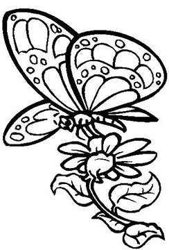 Butterfly 2 Cardboard Coloring Cutout