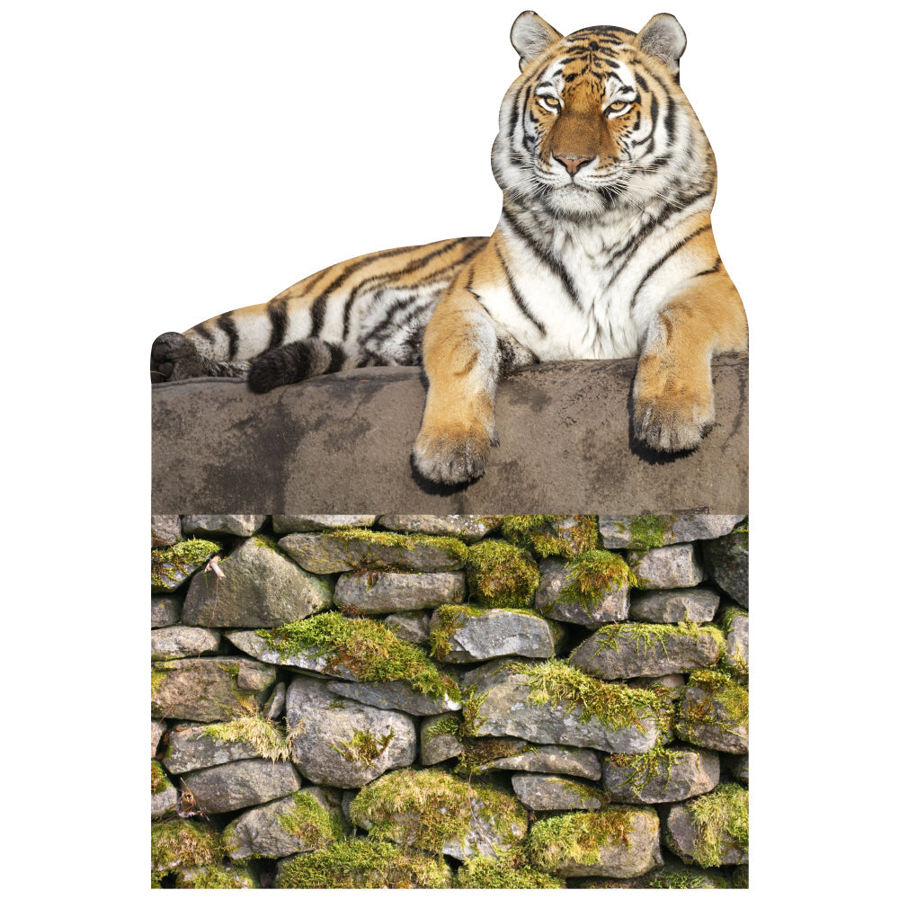 Tiger on Pedestal Cardboard Cutout