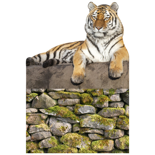 Tiger on Pedestal Cardboard Cutout