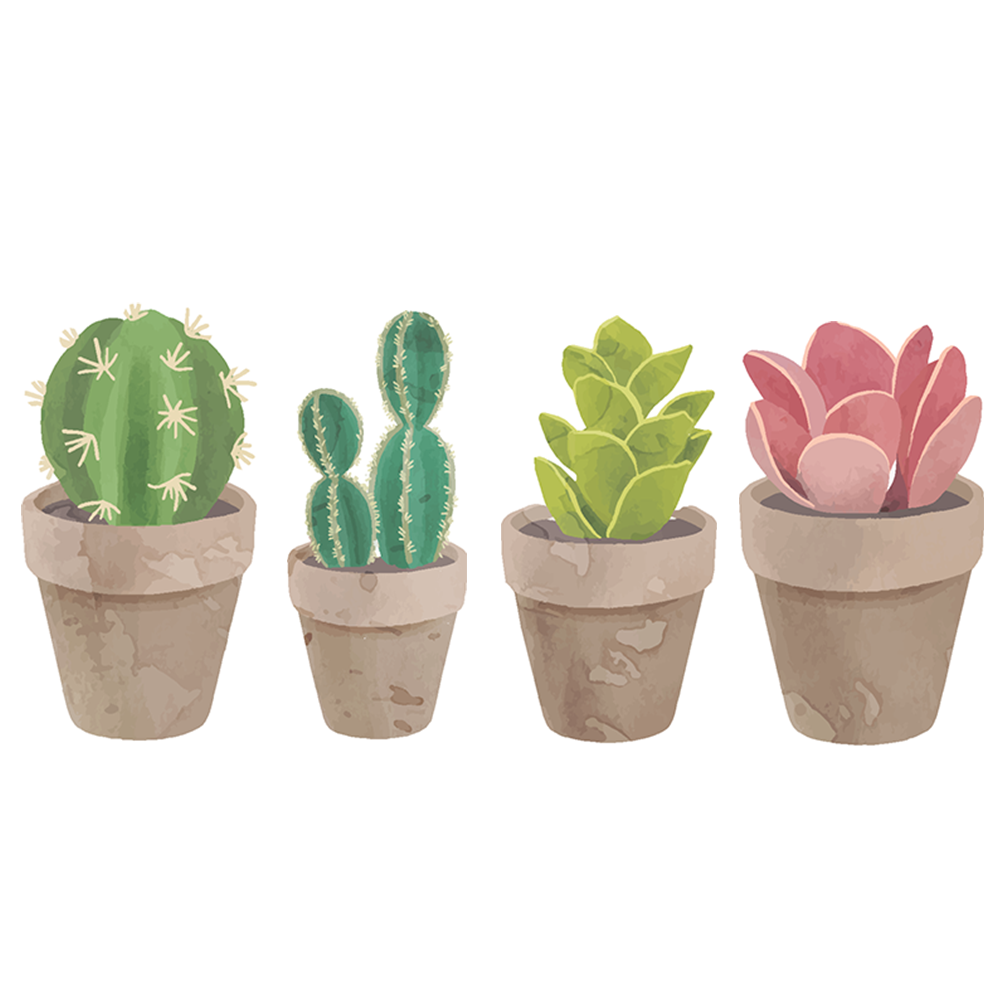 Succulent Minis Cardboard Cutout