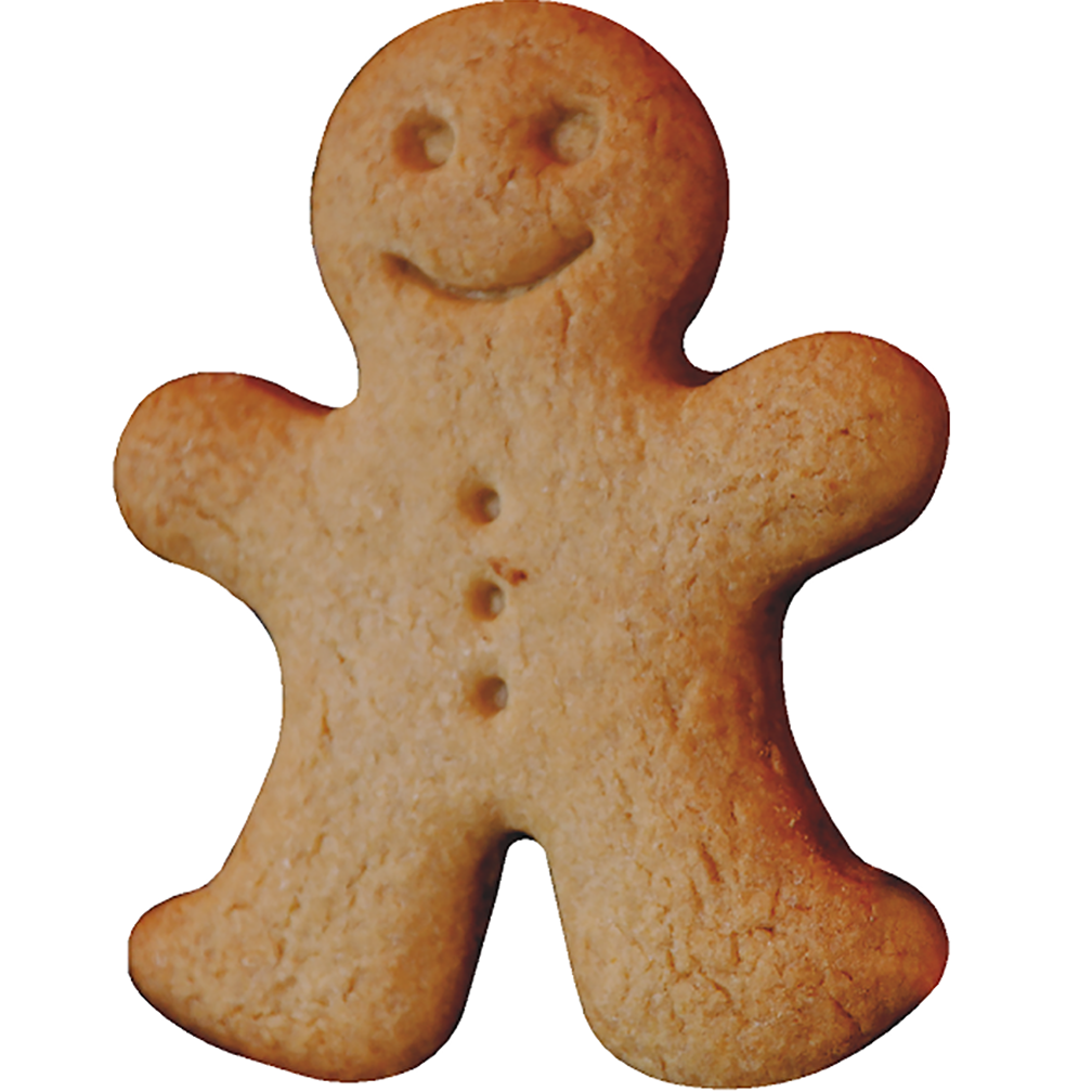 Gingerbread Man Plain Cardboard Cutout