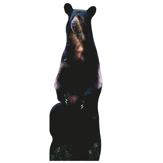 Sitting Bear Cardboard Cutout