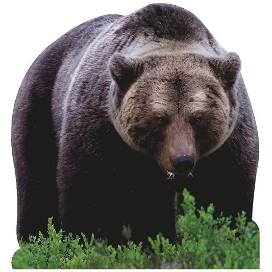 Pouncing Brown Bear Cardboard Cutout