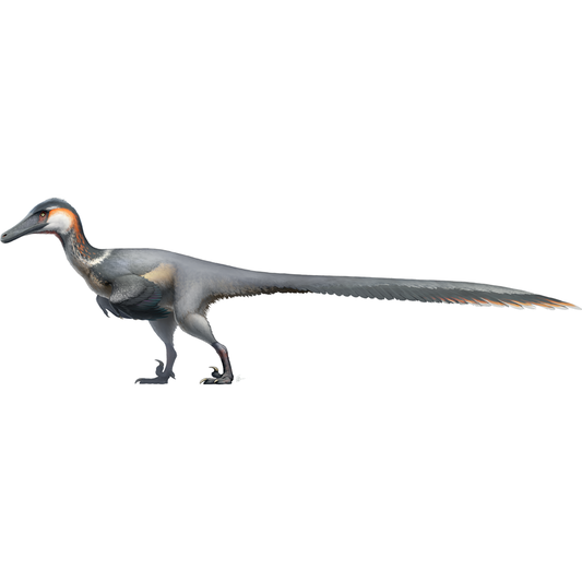 Austroraptor Cardboard Cutout