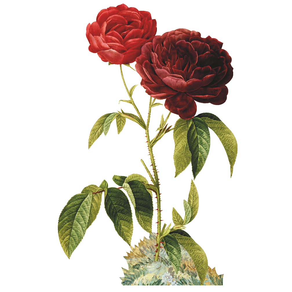 Rose with Thorns Cardboard Cutout