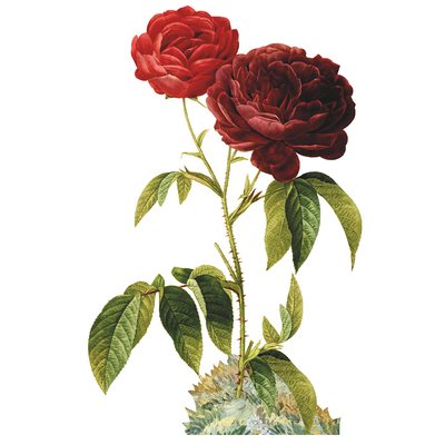 Rose with Thorns Cardboard Cutout