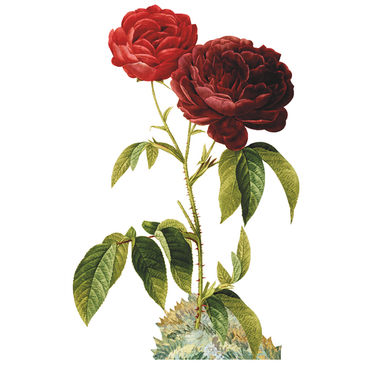 Rose with Thorns Cardboard Cutout