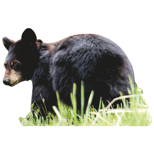 Black Bear Cub Cardboard Cutout