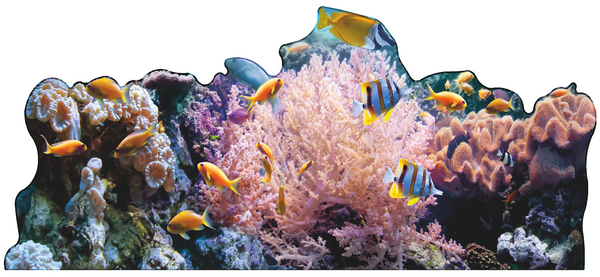 Coral Reef Ocean Floor Backdrop Cardboard Cutout