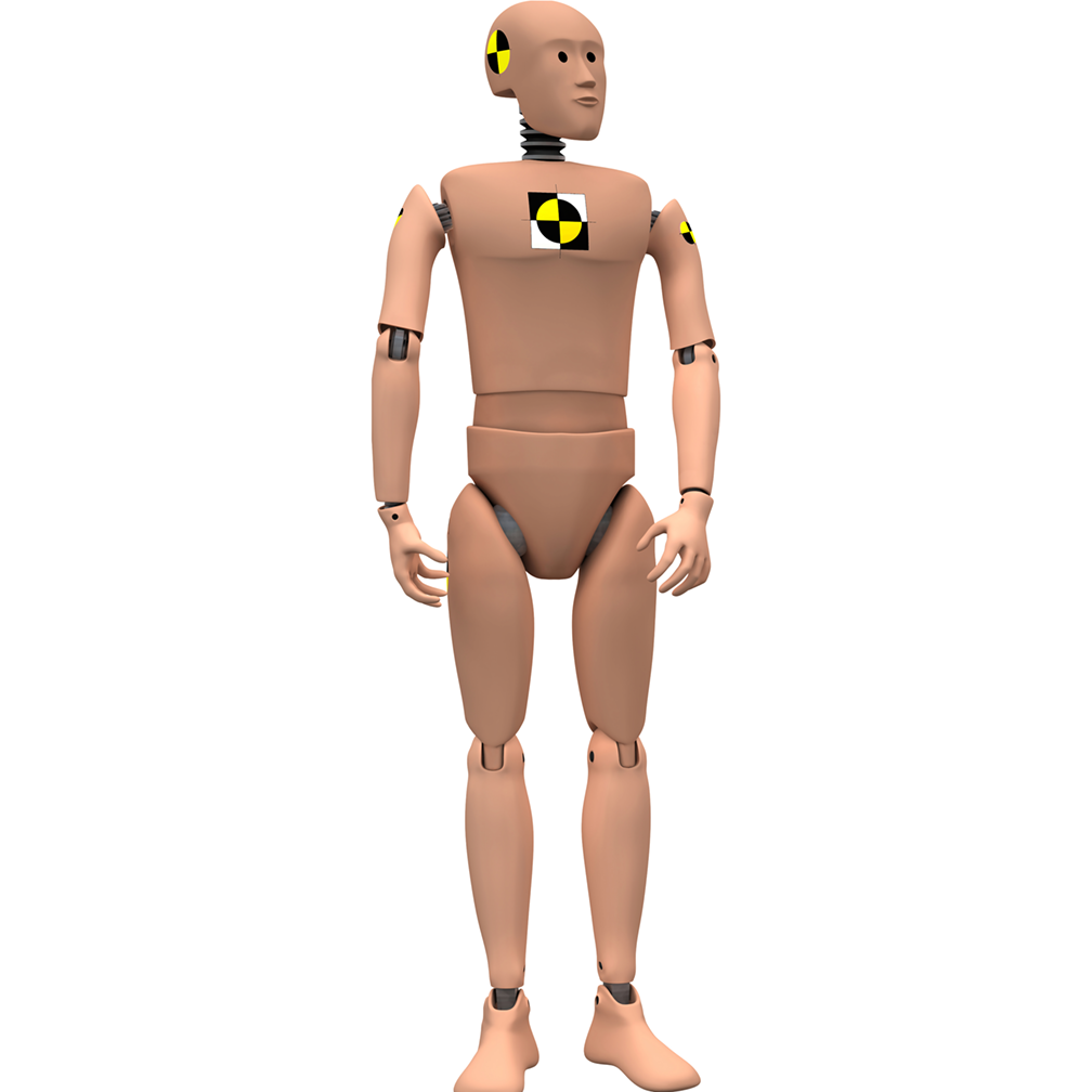 Crash Test Dummy Impact Simulation Dummies Cardboard Cutout