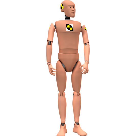 Crash Test Dummy Impact Simulation Dummies Cardboard Cutout
