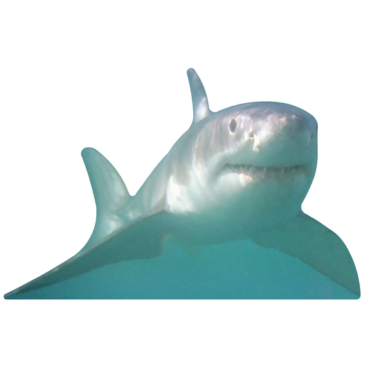 Great White Shark Facing Forward Cardboard Cutout