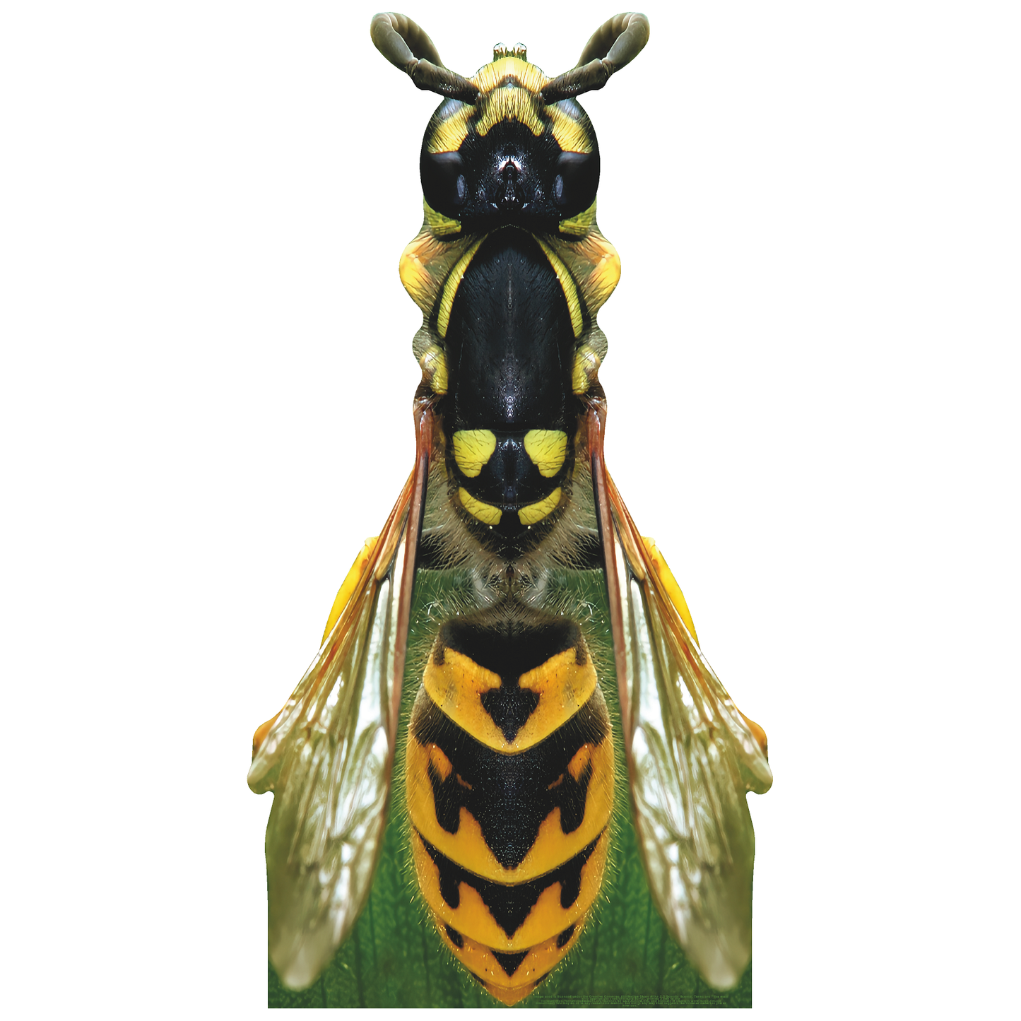 Giant 88 inch Wasp Cardboard Cutout