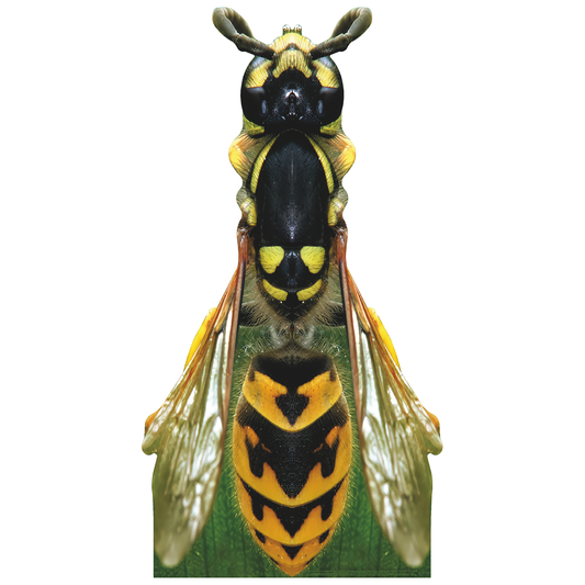 Giant 88 inch Wasp Cardboard Cutout