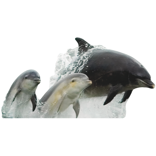 Bottlenose Dolphin Group Jumping Cardboard Cutout
