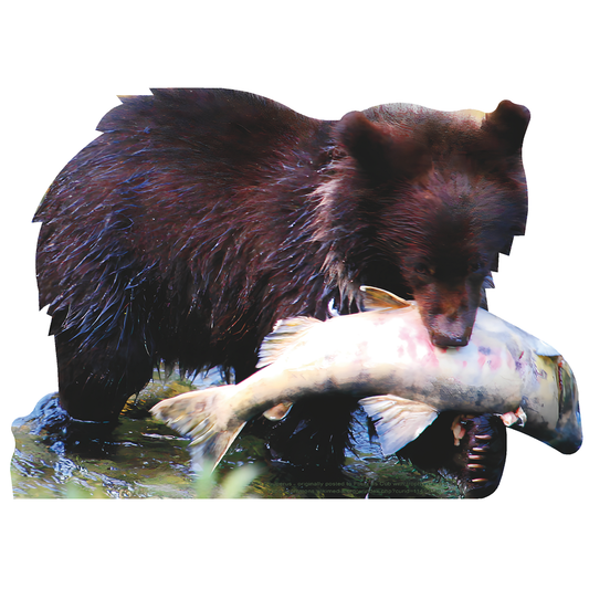 Bear Cub Water with Salmon Alaska Animal Cardboard Cutout