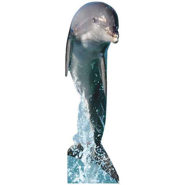 Dolphin Jumping Water Tall Cardboard Cutout