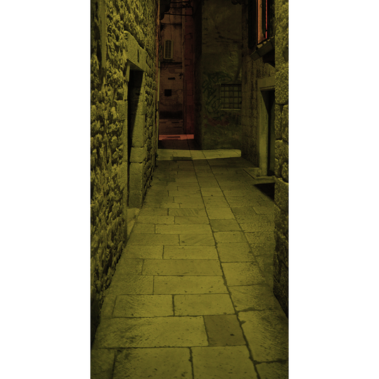 Spooky Night Historic Old World Town Croatia Backdrop Cardboard Cutout