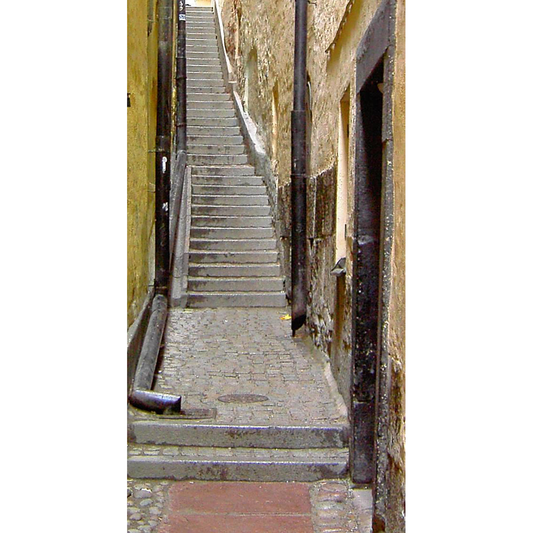 Marten Trotzigz Grand Alley Backdrop Cardboard Cutout