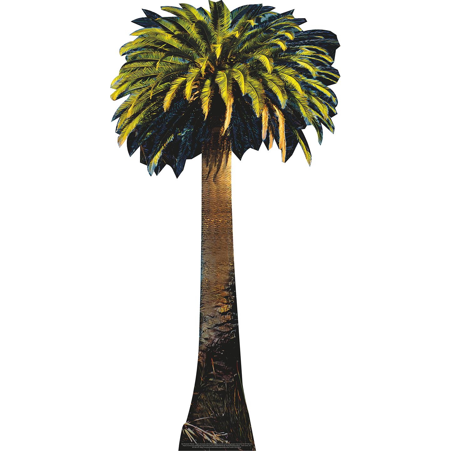 Tropical Vacation Palm Coconut Tree Prop Cardboard Cutout