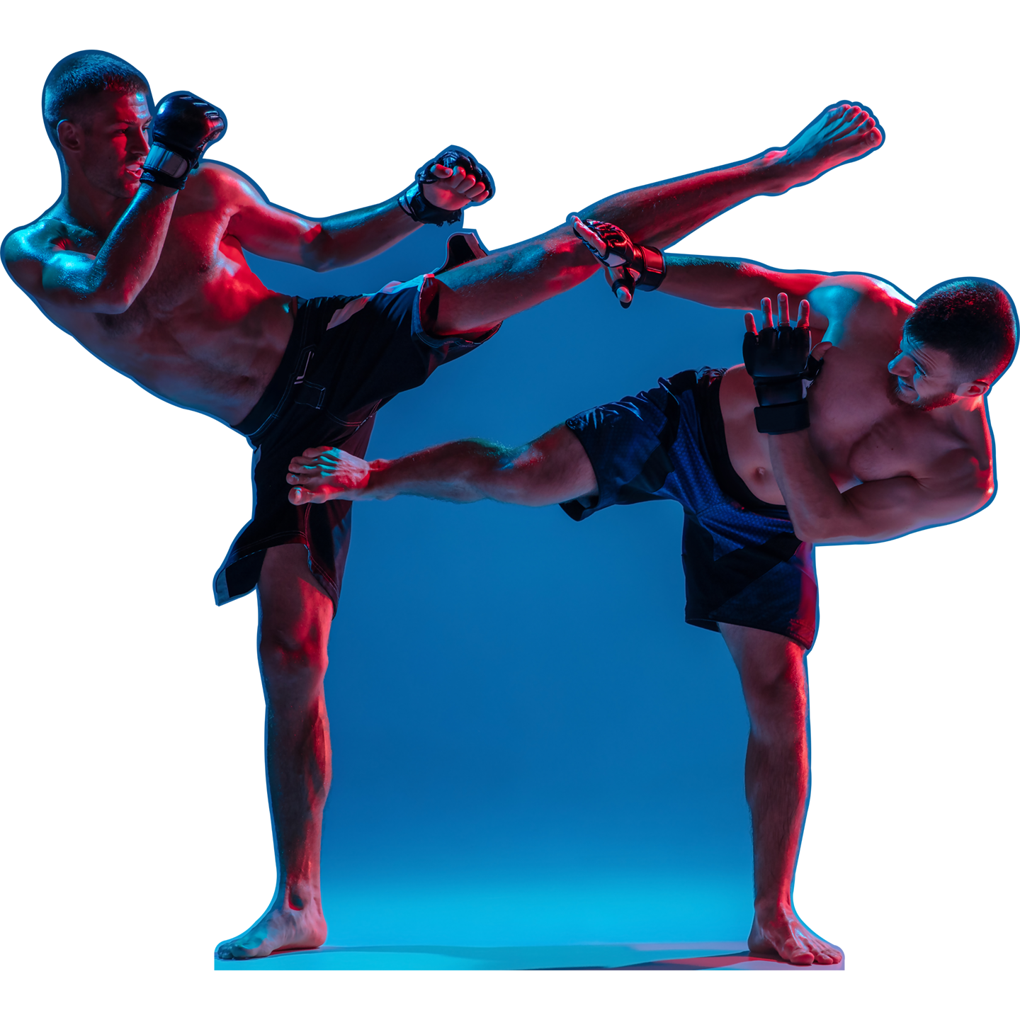 MMA Fighters Sparring Cardboard Cutout Free Shipping – Life Size Custom ...