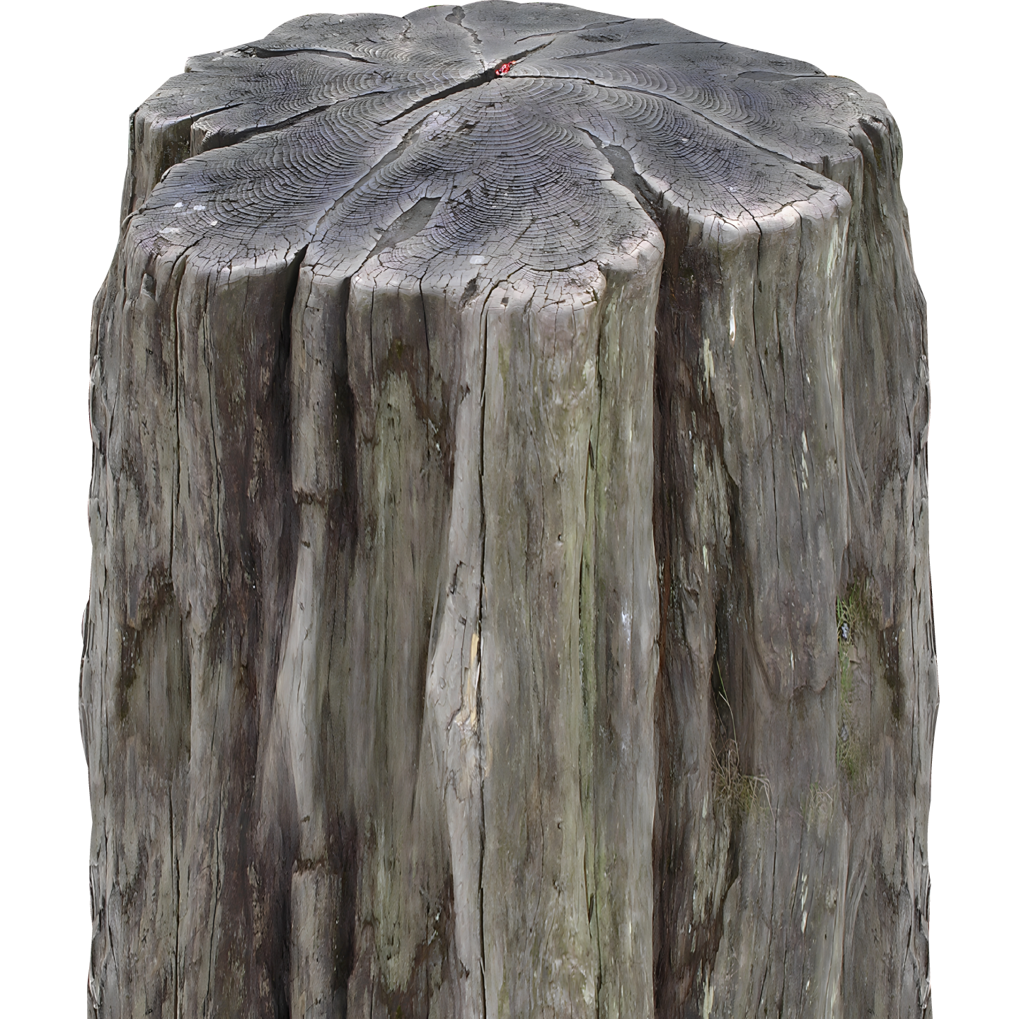 Tree Stump Cardboard Cutout
