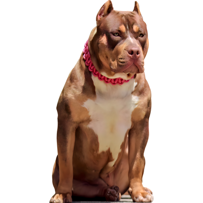 Big Brooding Muscular Guard Dog Pitbull Pit Bull Cardboard Cutout