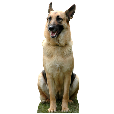 German Shepherd Sitting Cardboard Cutout