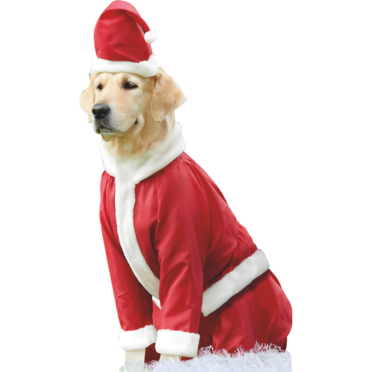 Golden Retriever Dressed as Santa - Yard Sign