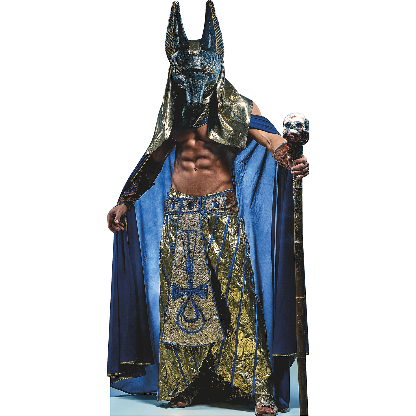 Anubis Ancient Egyptian Pharaoh Mask Staff Skull Cardboard Cutout