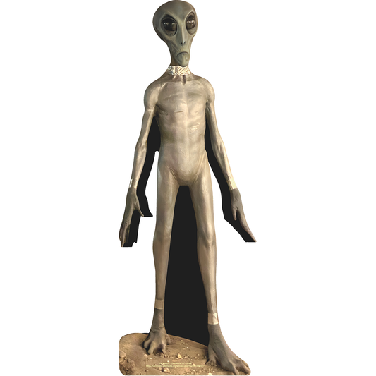 Roswell New Mexico Grey Alien Cardboard Cutout