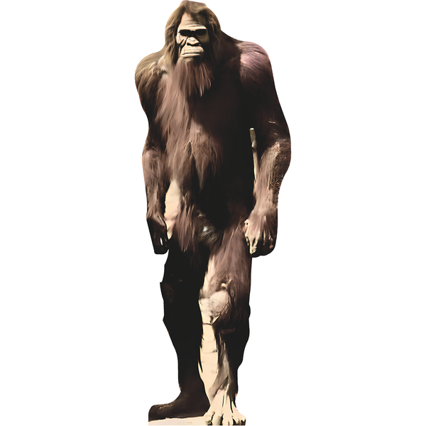 Bigfoot Big Foot Real Photo Cardboard Cutout