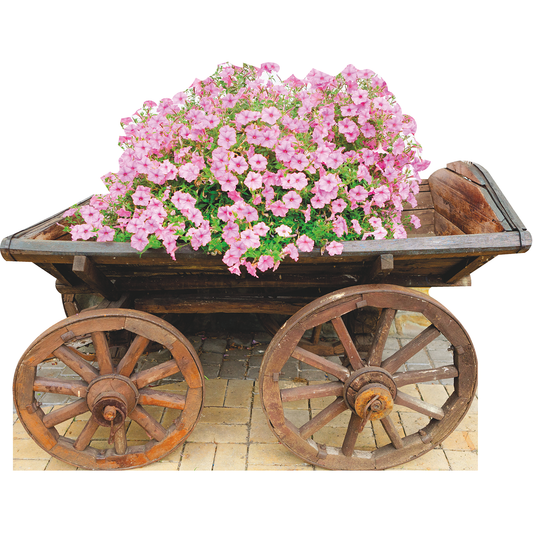 Flower Bed Old Wooden Cart Country Western Garden Cardboard Cutout