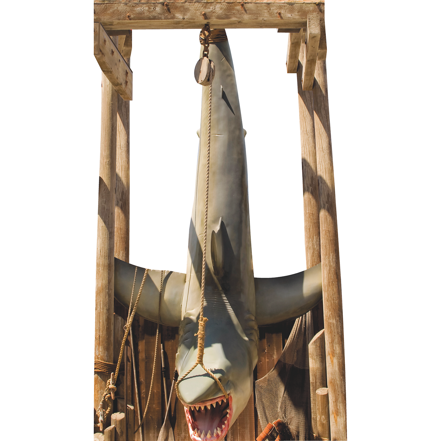 Caught Hanging Shark Open Jaw Trophy Fishing Cardboard Cutout