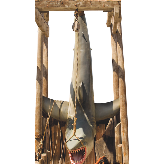 Caught Hanging Shark Open Jaw Trophy Fishing Cardboard Cutout
