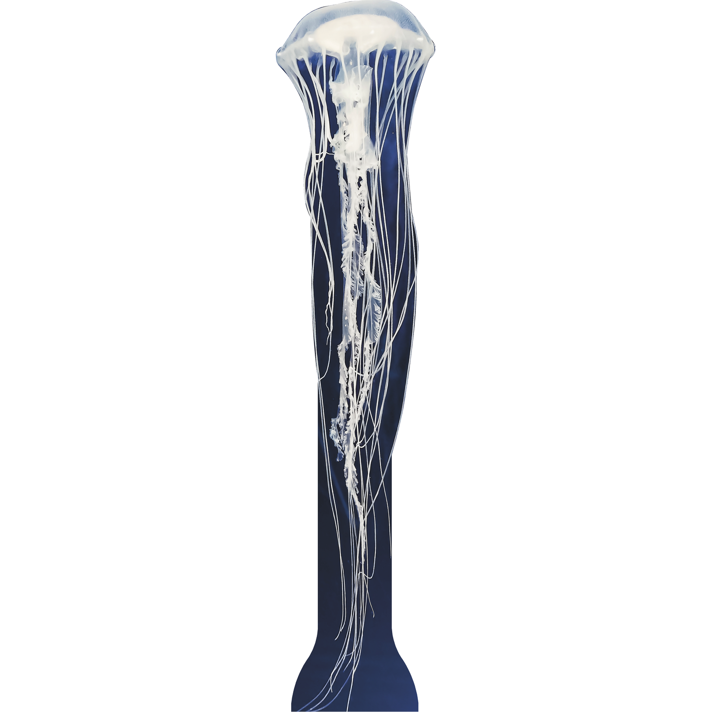 Deep Water Blue Jellyfish Cardboard Cutout