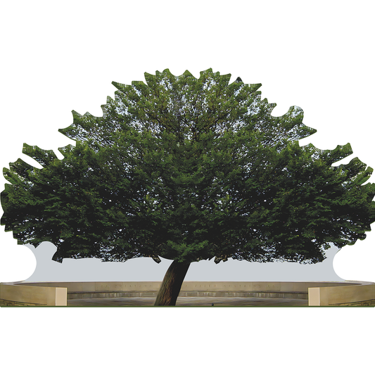 Survivor Tree Callery Pear 911 Symbol Resilience Cardboard Cutout