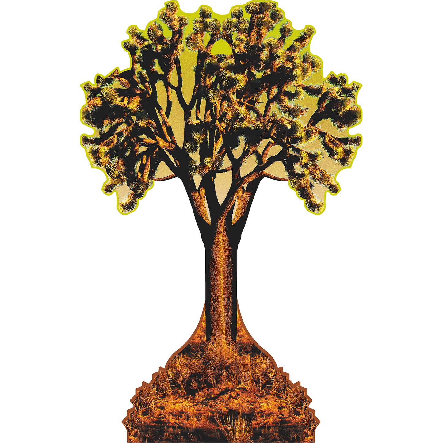 Joshua Tree California National Park Hidden Valley Campground Cardboard Cutout