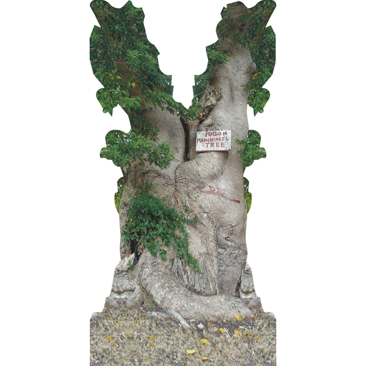 Poison Apple of Death Manchineel Tree Barbados Cardboard Cutout