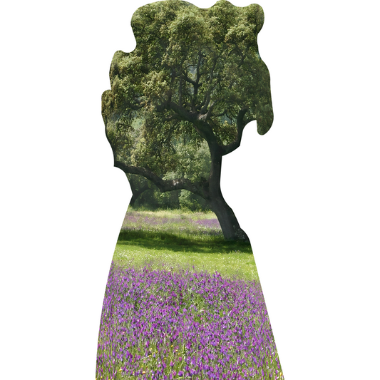 Holm Oak Picci Tree Italy Cardboard Cutout