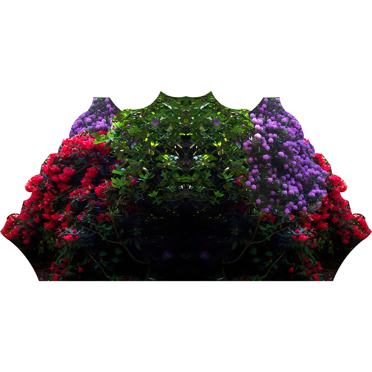 Garden Rose Bush Shrub Flower Forest Cardboard Cutout