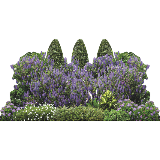 Garden Bush Landscape Lilac Flower Hedge Cardboard Cutout