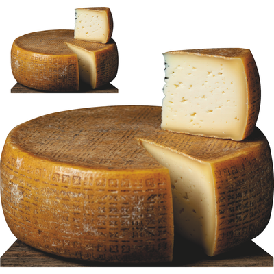Whole Imported Cheese Wheel Blue Irish Cheddar Italian Parmesan Parmigiano Cardboard Cutout