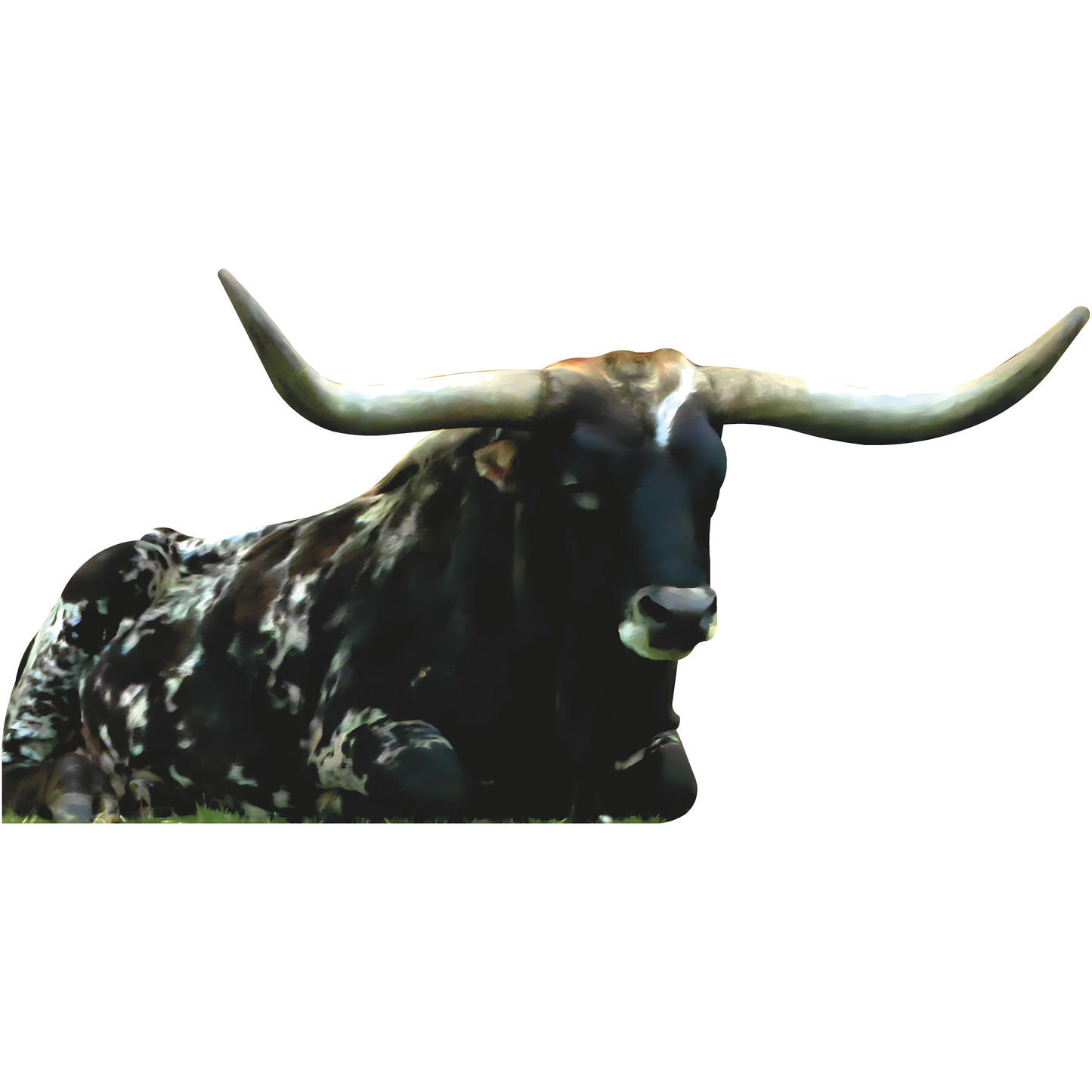 Texas Longhorn Cow Sitting Cattle Steer Beef Cardboard Cutout